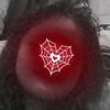 yani.amali