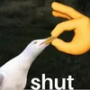 rainbouty