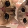 jiminnshi2