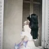 flower_shore_