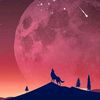 user8129221868542majed
