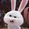 pupu_436