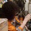 kamarul.ariffin1