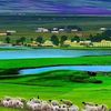 user5071531405408