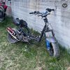 torjus69
