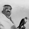 غلـطتي
