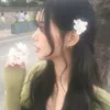 _bluberry_4