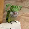 yakulttttnagreen