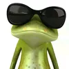 frosch10378e55e0