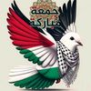 galal6742