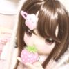 i_love_cats1293