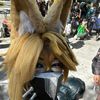 cos.mxl