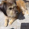 pepe070708070