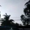 y.44.44
