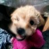 jeremy_00003