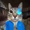 userbfabe7l35t