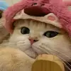 its_shoraa