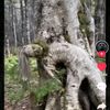 oscarnyagah