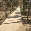 zuhirnajiburgos
