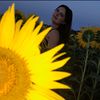 user6883618855659