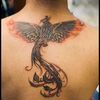 phoenixsgate11