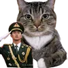 nhờ nho nha