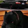 user21i7jfgnid