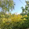 userslszclg95z