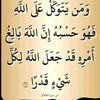 user3906976290543