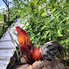 kampong_farm
