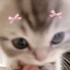 mochimoshi1