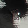 parasyticc