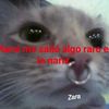 crystial0