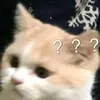usersakxu4o9ht