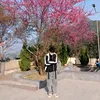 biker_ex155