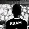 adam256.nf
