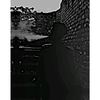 shamrat844