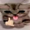 ibcuapheobong