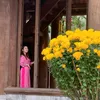 hoa.hong.cogai.1
