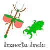 InsectaIndo