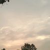 jli_ynnr
