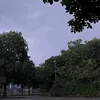 waitforme_10