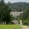 drnelyamed