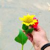 waqarchaudhary070