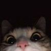hbskmlbb_