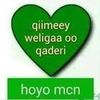 sacdio__ozman
