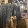 kaliifali