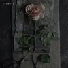 nimnim_697