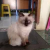 heri.susanto01