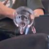 sumerdreamerkaty_d